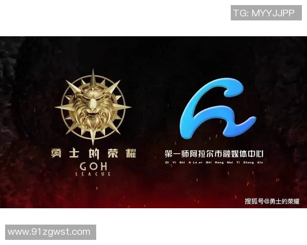 成都排球队的崛起之路精英赛背后的拼搏与荣耀