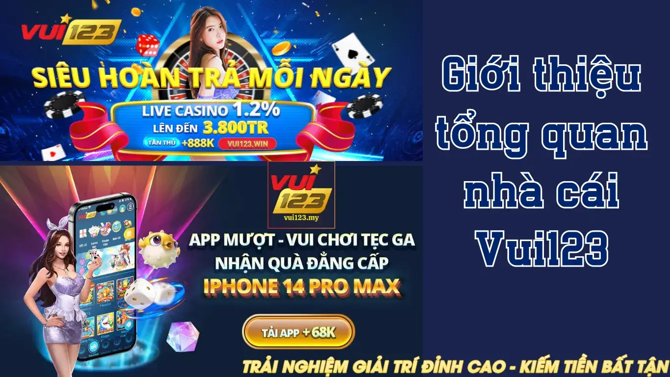 Ưu điểm và nhược điểm của các nền tảng trò chơi thẻ bài trực tuyến cấp N666 - N666