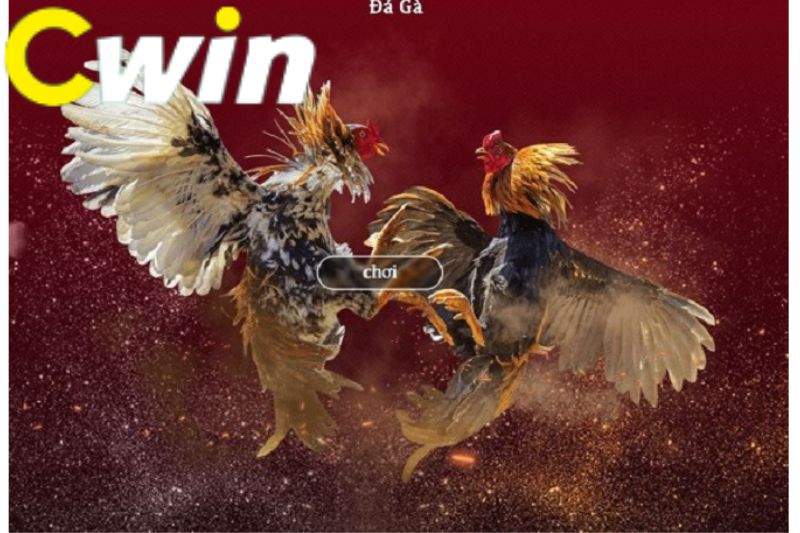 Tiền thưởng khi đến Cm88 - Cm88