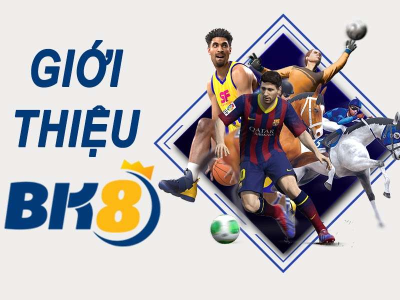 Điều gì làm nên sự độc đáo của Okking Fortune Tiger? - Okking