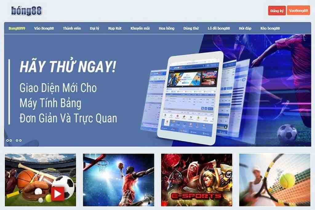 Giới thiệu và Cơ chế Thưởng của Trò chơi Thẻ bài Cấp độ Win58 - Win58