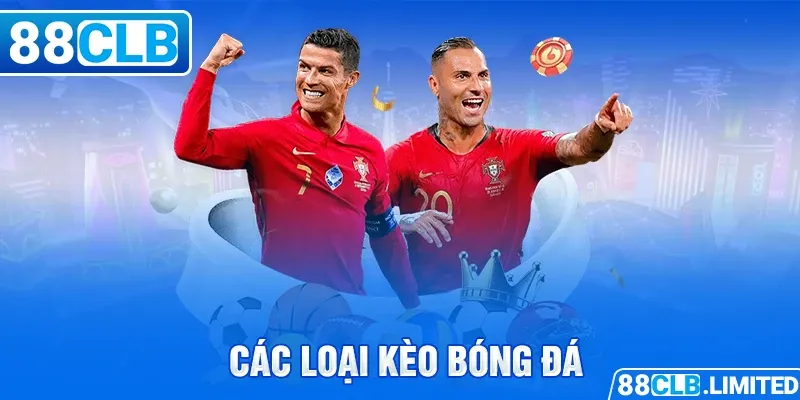 Một số vấn đề thường gặp khi đặt cược với các công ty cá cược được xếp hạng M788 - M788