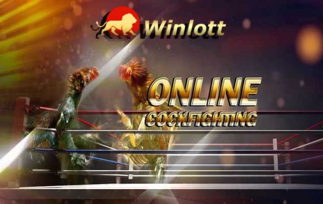 Liên kết tải xuống Aog777 APK, PC và Android - Aog777