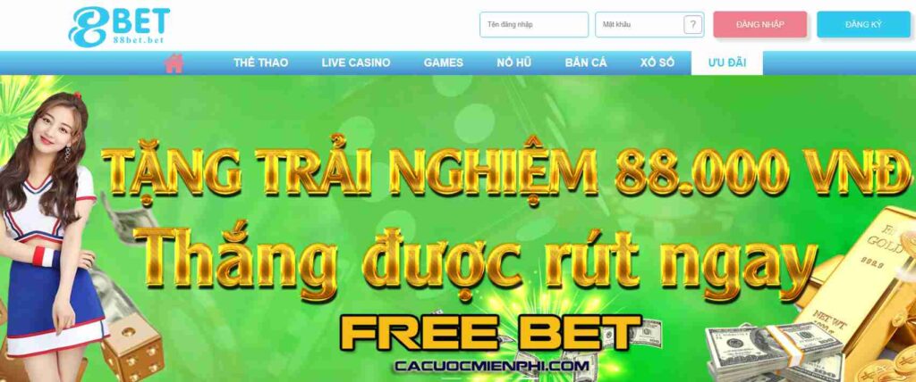 Phần thưởng, trò chơi và trải nghiệm ở cấp độ 12Play - 12Play