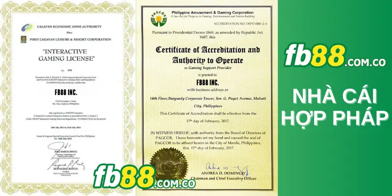 N88 sở hữu một đội ngũ hỗ trợ lớn và chuyên nghiệp cao - N88