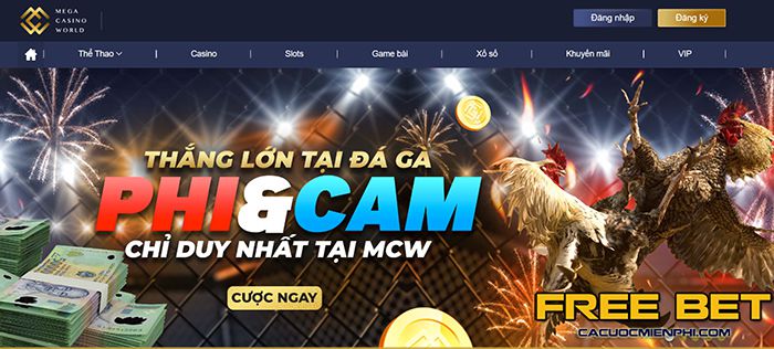 Vui lòng không tiết lộ thông tin đăng nhập của bạn cho Df999 - Df999