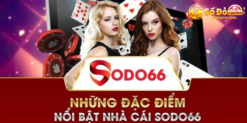 Những lợi thế độc đáo của xếp hạng người chơi cấp Fun222 - Fun222