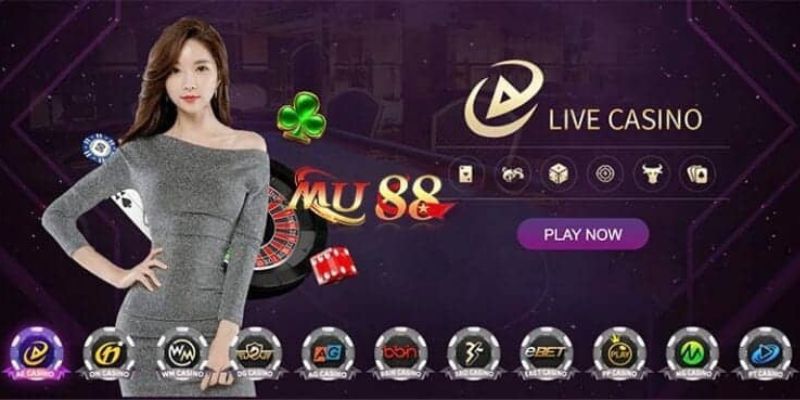 Các thương hiệu và đối tác uy tín hợp tác với 8Day - 8Day