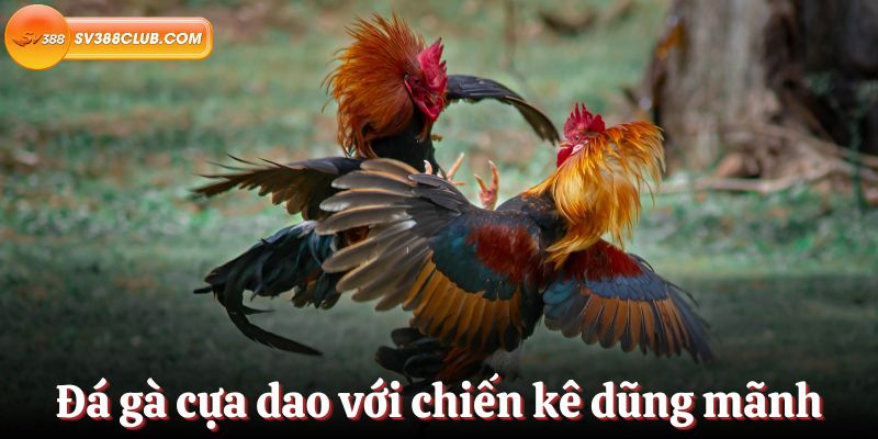 Việc đăng nhập Vt999 không bị chặn - Vt999