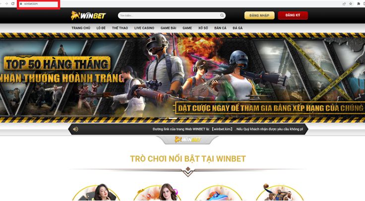Trang web mới của Gowin bao gồm các câu hỏi thường gặp - Gowin