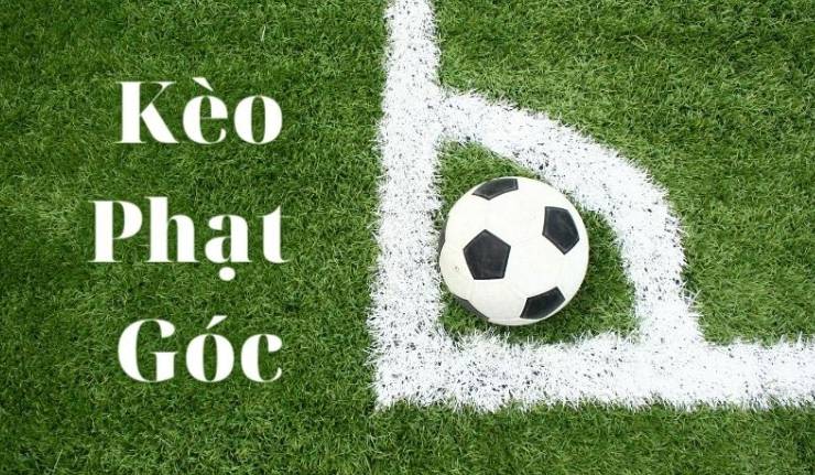 So sánh chất lượng cá cược của 66Vn với các công ty cá cược khác - 66Vn