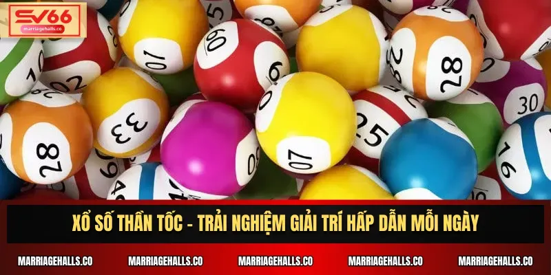 Tiết lộ các mẹo cá cược trên trang web cổng thông tin game 7Ball - 7Ball