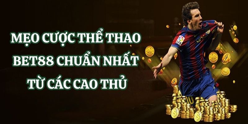 Betway tổ chức nhiều sự kiện quảng bá chọi gà vô cùng hấp dẫn - Betway